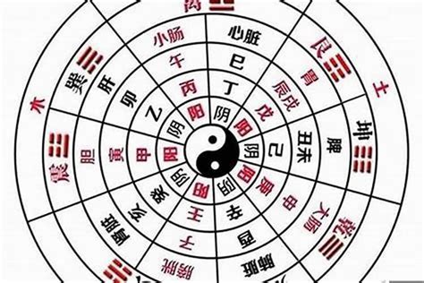 八字陰陽怎麼看